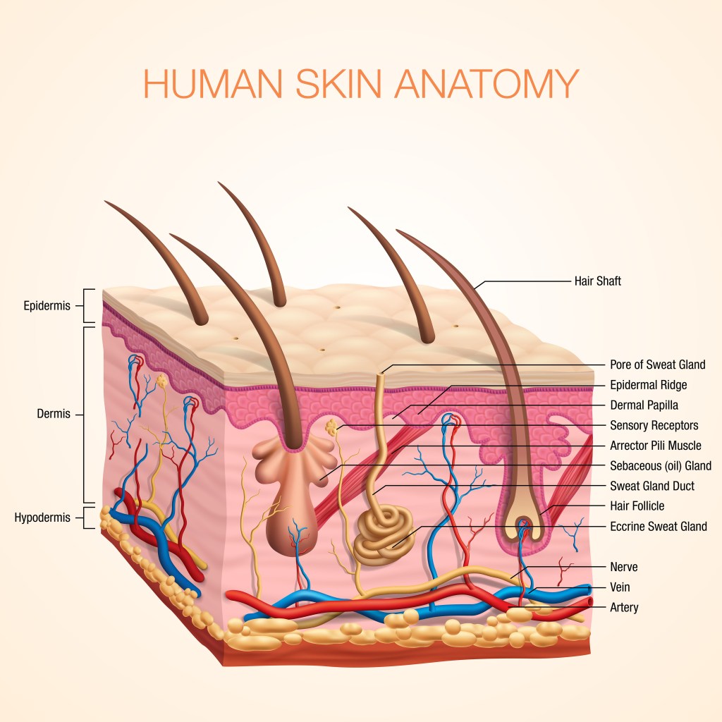 nursing-care-plan-for-burns